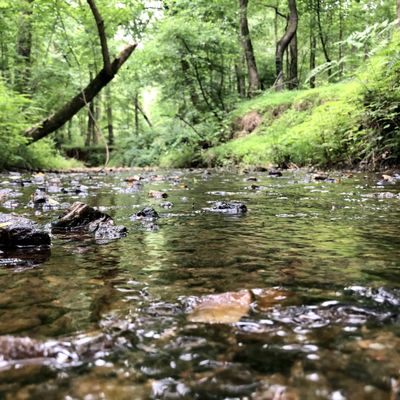 Cascade Springs Nature Preserve by null