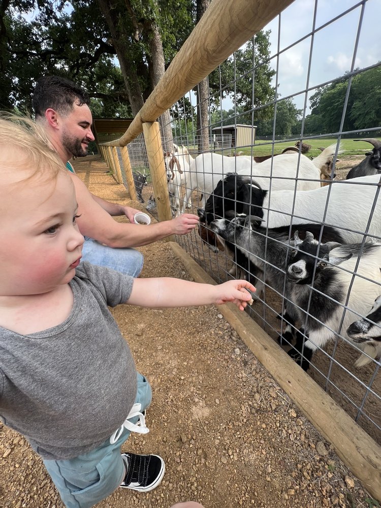 TEXAS ZOOFARI PARK 9773 FM 429, Kaufman, Texas Zoos Phone Number