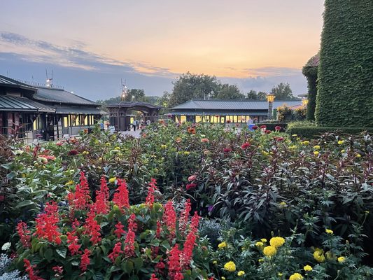 Ravinia Festival by null