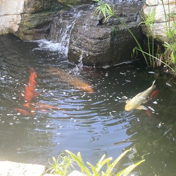 Humphreys Half Moon Inn - Koi pond - San Diego, CA