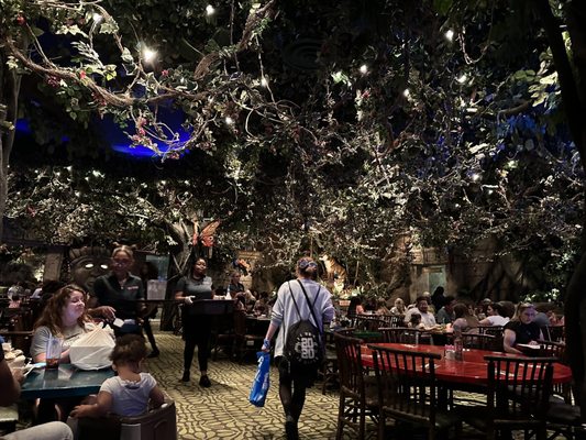 Rainforest Cafe by null