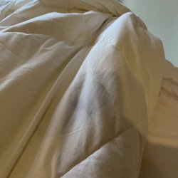 Middle Beach Lodge - Stained duvet