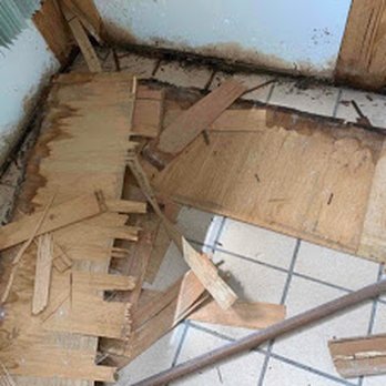 Mold Doctor Pro - Damage Restoration Near Me - Clearwater, Florida Mold Doctor Pro - Damage Restoration Near Me - Clearwater, Florida