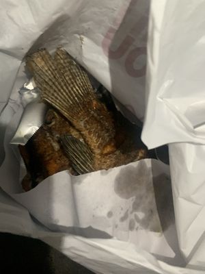 Pescaderia Ensenada by null