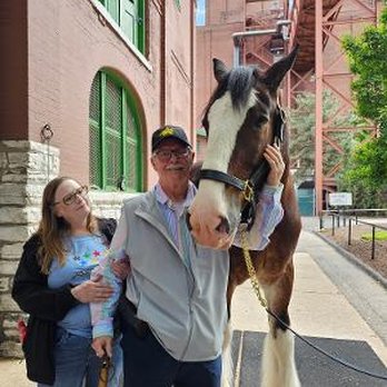 Budweiser Brewery Experience - Eve and I up close and personal with a Clydesdale. - Beer Tours Near Me - Saint Louis, Missouri