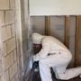 All Damage Restoration