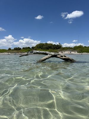 Historic Virginia Key Beach Park by null