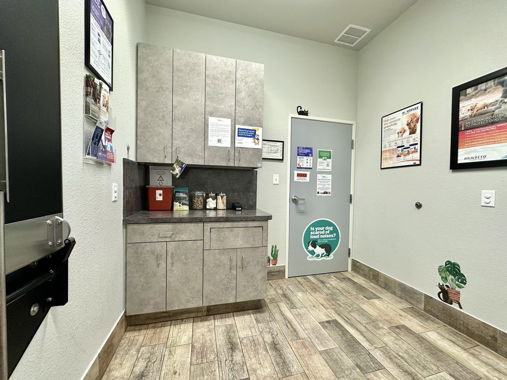 Penny Paws Animal Hospital - Fort Worth - pet boarding facility in Fort Worth, TX