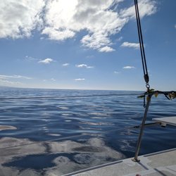 Kohala Blue Sail Hawaii - A beautiful glassy day!
