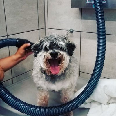 Pet Supplies Plus Smyrna