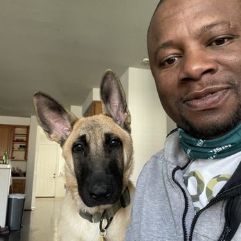 PowerHouseK9 - Pet Training Near Me