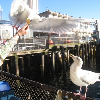 Ivar's Fish Bar - the ivar's EXPERIENCE. - Seafood Near Me - Seattle, Washington