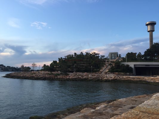 Barangaroo Reserve by null