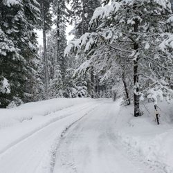 Emigrant Springs State Park - The roads around the Campgrounds are cleared.