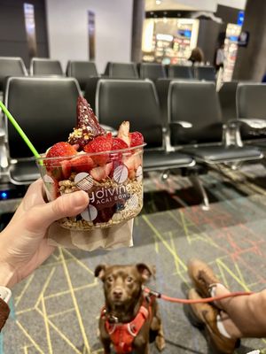 Berry Divine Acai Bowls by null