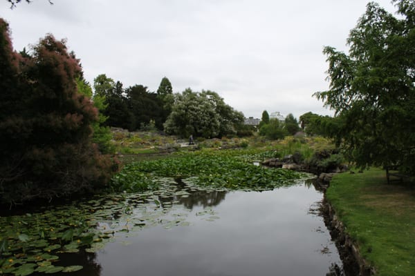 Cambridge University Botanic Garden by null