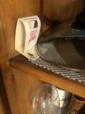 Beacon Properties by null