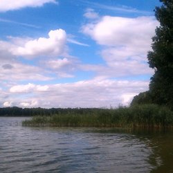 Klosterruine Friedland