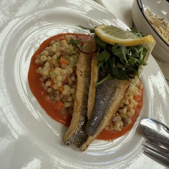 OSTE - Brazing - Italian Near Me - Los Angeles, California