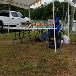 Miss Madison's Fresh Strawberries - Fresh strawberries, yellow squash, zucchini, and potatoes!
