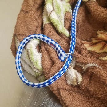 Cedar Way Veterinary Clinic - I'm so angry. This is the rope that was around the cats neck! I'm sure she was trying to yank away with it on and got strangled by it. - Veterinarians Near Me - New Lenox, Illinois Cedar Way Veterinary Clinic - I'm so angry. This is the rope that was around the cats neck! I'm sure she was trying to yank away with it on and got strangled by it. - Veterinarians Near Me - New Lenox, Illinois