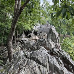 Carderock Recreational Area