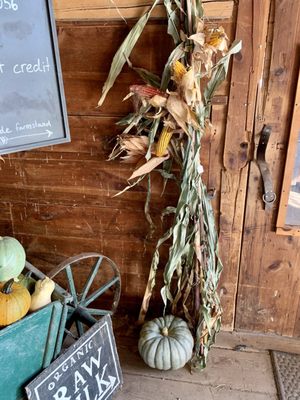 Benedikt Dairy by null