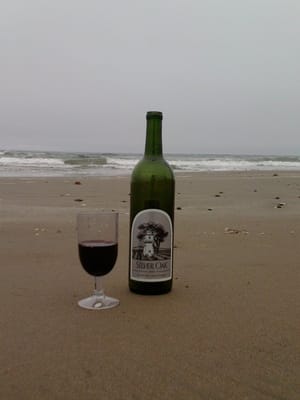 Morro Bay State Park by null