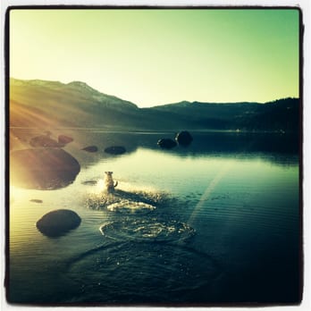 Danielle Spiekermeier - Massage Near Me - Truckee, California Danielle Spiekermeier - Massage Near Me - Truckee, California