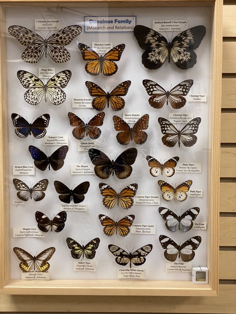 Trout Lake Nature Center Image