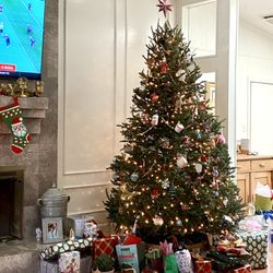 Savvy’s Christmas Trees