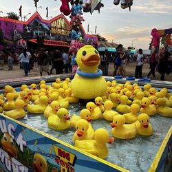 Tulare County Fair