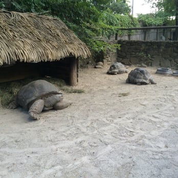 Southwick's Zoo - Giant tortoises! - Amusement Parks Near Me - Mendon, Massachusetts Southwick's Zoo - Giant tortoises! - Amusement Parks Near Me - Mendon, Massachusetts