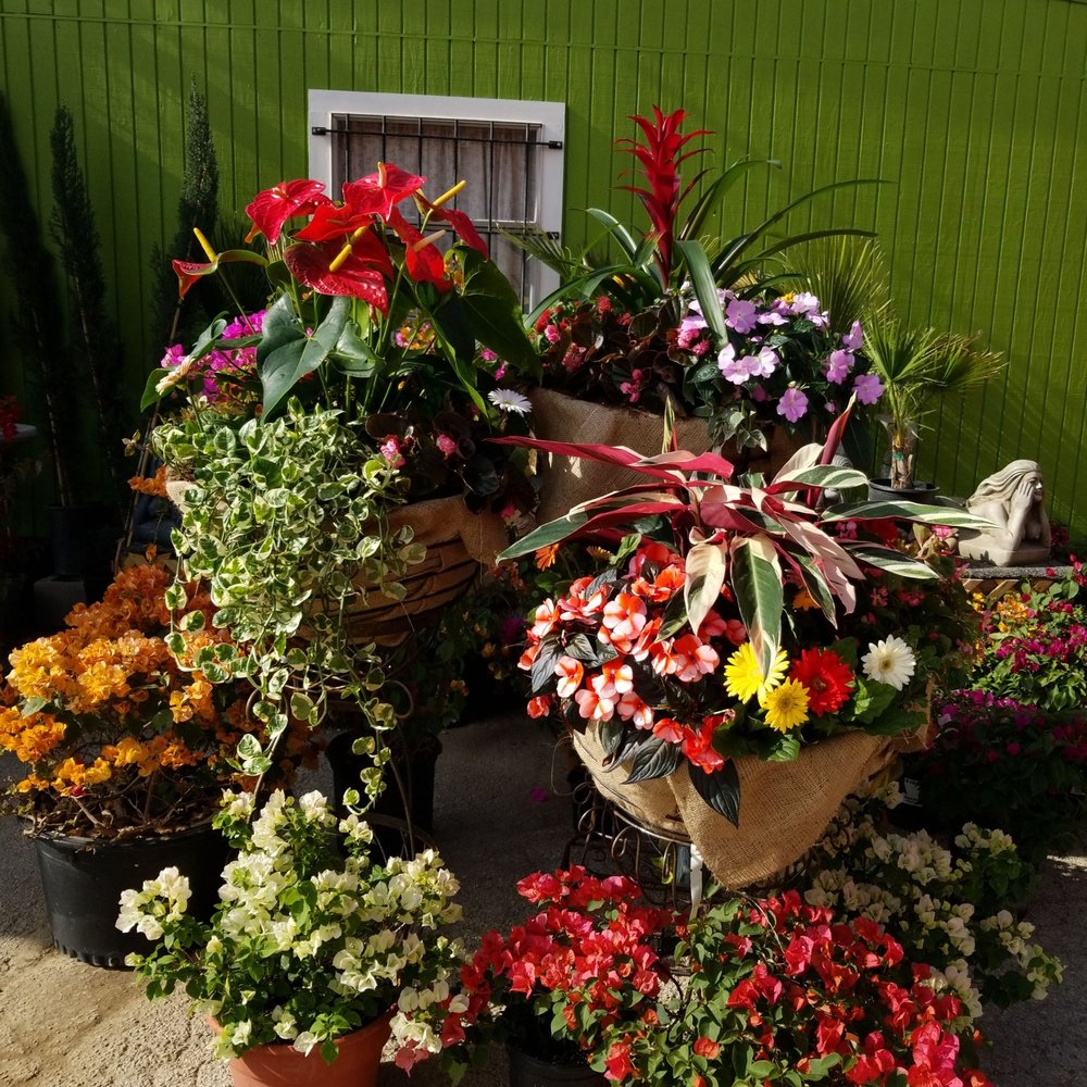 The Best 10 Nurseries & Gardening near The Green Gate in Seguin, TX Yelp