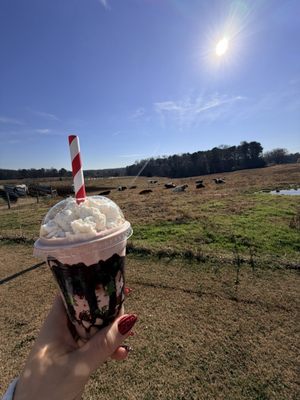 Howling Cow Dairy Education Center and Creamery by null