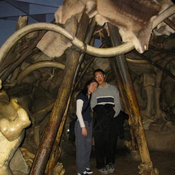 Field Museum - Museums Near Me - Chicago, Illinois Field Museum - Museums Near Me - Chicago, Illinois