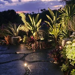 Hawaiian Oasis Landscape