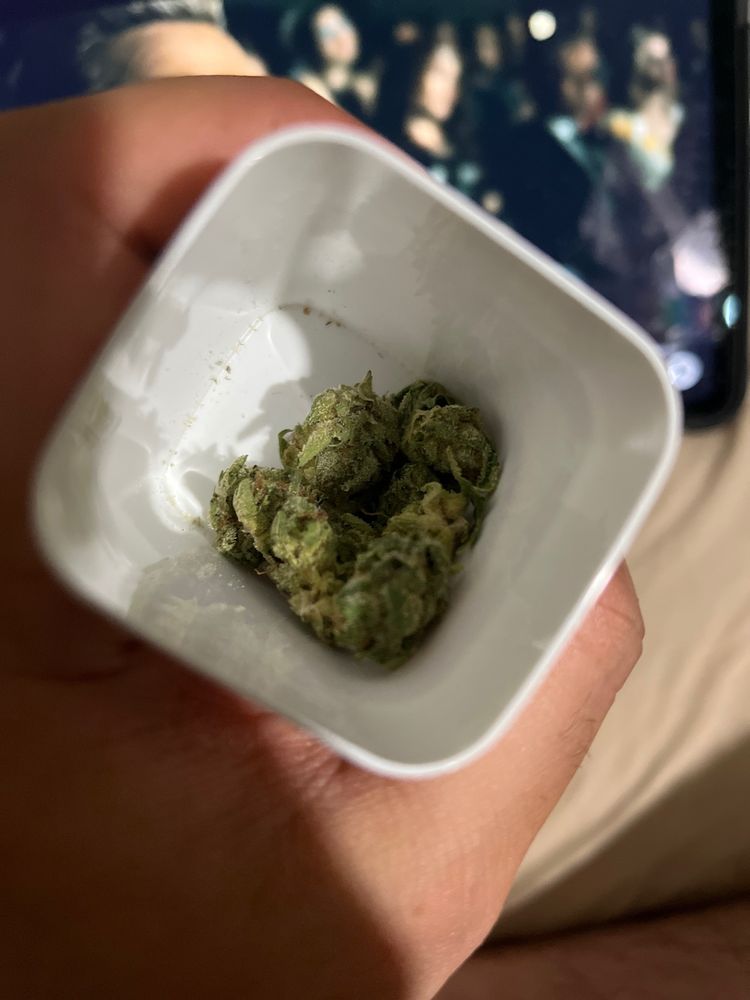 AYR CANNABIS DISPENSARY FLORIDA CITY 33497 South Dixie Hwy, Florida