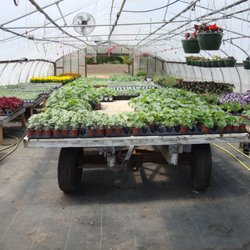 Gordon's Greenhouse - Yet another greenhouse...