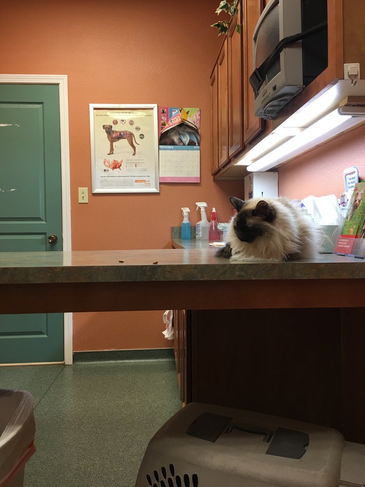 EAST END ANIMAL CARE 20224 Arch St, Little Rock, Arkansas