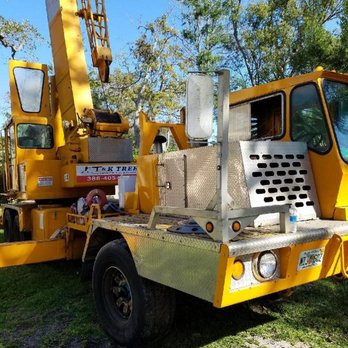 T&K Tree - Tree Services Near Me - New Smyrna Beach, Florida T&K Tree - Tree Services Near Me - New Smyrna Beach, Florida