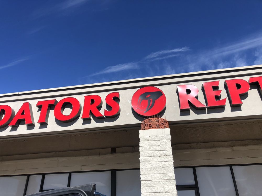 PREDATOR’S REPTILE CENTER - 65 Photos & 109 Reviews - 1824 W Baseline