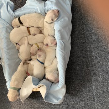 TINY BUBBLES LAUNDROMAT - Updated December 2025 - 1844C Rt 112, Coram