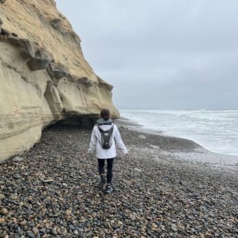 Torrey Pines State Reserve - Getting lost in the beauty of it all! - Parks Near Me - La Jolla, California
