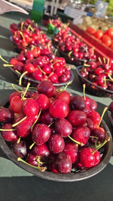 Meadowview Certified Farmers’ Market by null