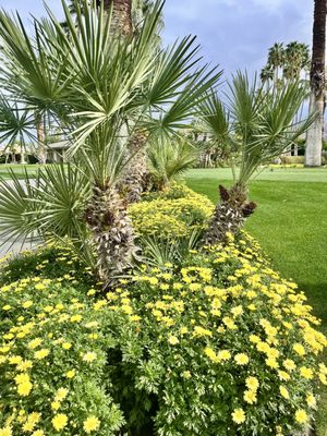 Nick's Italian Bistro by null