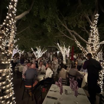 Lavender Bistro - Outdoor area of restaurant with lit olive trees - New American Near Me - La Quinta, California Lavender Bistro - Outdoor area of restaurant with lit olive trees - New American Near Me - La Quinta, California