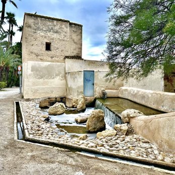 Parque Municipal Elx - Palmeral de Elche - Local Flavor Near Me - Elche, A