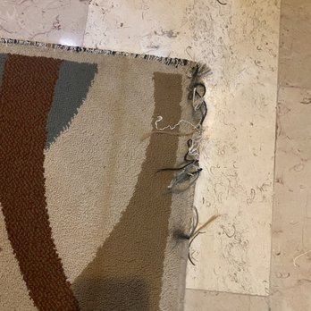 The Eldon Luxury Suites - The luxurious rugs and carpets !! - Hotels Near Me - Washington, DC, District of Columbia