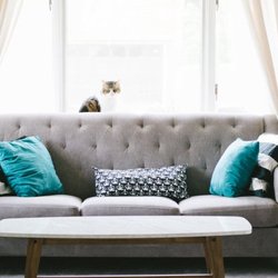 Hunter Interior Cleaning Services - Upholstery cleaning